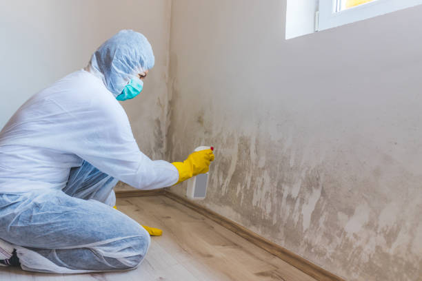 Licensed Mold Removal service in Anna, TX - WQB Mold Removal