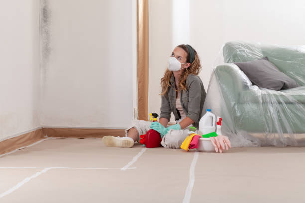 Reliable Mold Removal contractor in Anna, TX by WQB Mold Removal